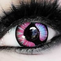 meioh contacts