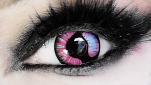 meioh contacts