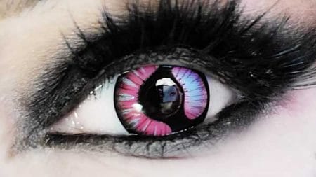 meioh contacts meioh contacts